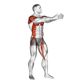 Animated demonstration: standing archer — target upper back