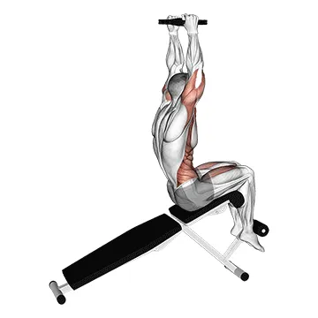 Animated demonstration: weighted decline sit-up — target abs