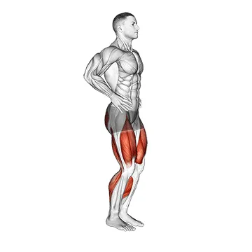 Animated demonstration: ski step — target cardiovascular system