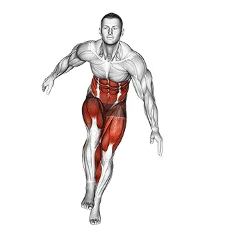 Animated demonstration: back and forth step — target cardiovascular system
