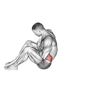 Animated demonstration: sit-up with arms on chest — target abs