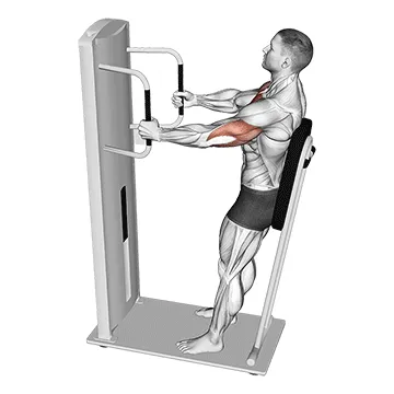 Animated demonstration: lever standing chest press — target pectorals