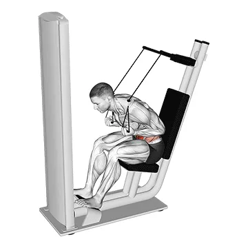 Animated demonstration: lever seated crunch v. 2 — target abs